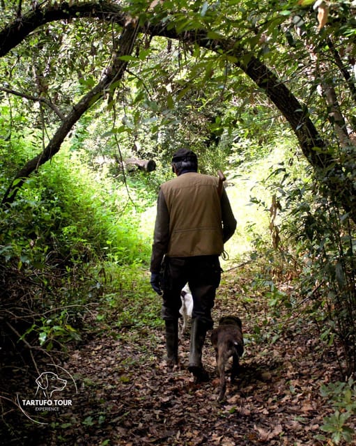 Truffle Tour Experience: caccia tartufo e degustazione - Key Points