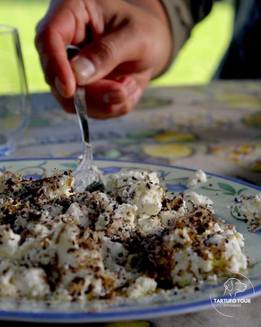Truffle Tour Experience: caccia tartufo e degustazione - Analyzing the Cost and Value