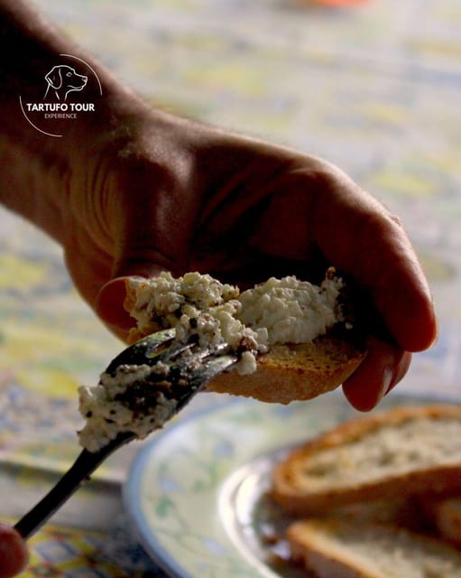 Truffle Tour Experience: caccia tartufo e degustazione - Who Should Consider This Tour?