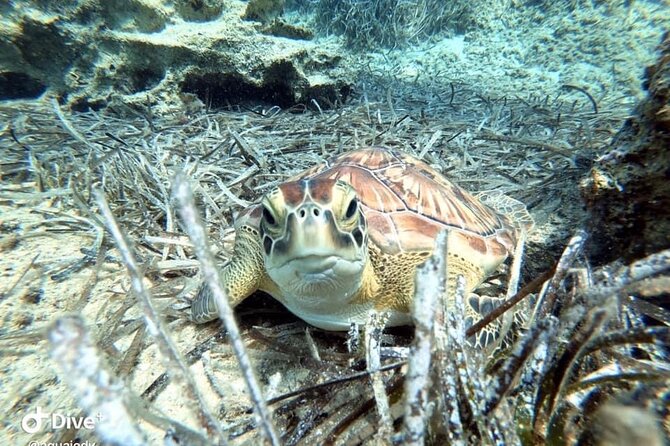 Try a Scuba Diving Experience - Cancellation Policy