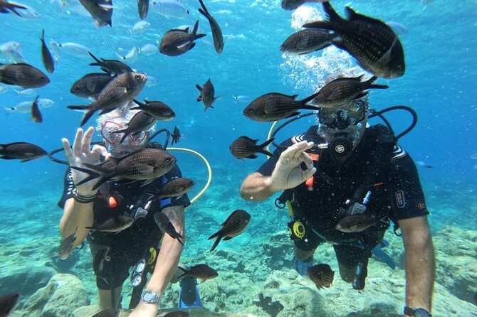 Try a Scuba Diving Experience - Preparing for the Adventure