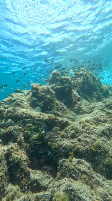 Try Dive and Have a Wonderful Experience in Lanzarote - Diving Course for First-Time Divers