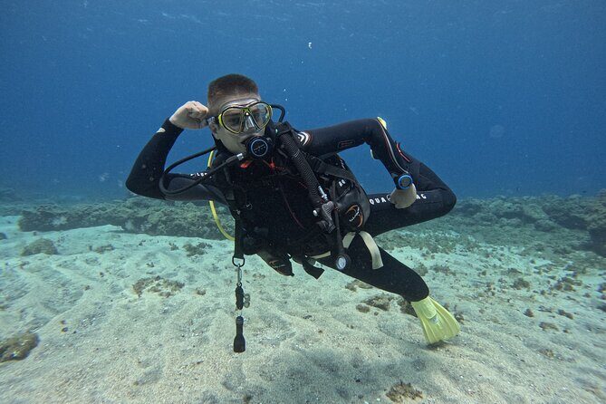 Try Dive in Abades Bay with a private instructor - Who Will Love This Tour?
