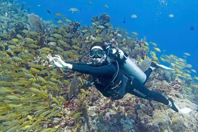 Try Dive in Cancun Underwater Museum - Exploring the Cancun Underwater Museum Tour