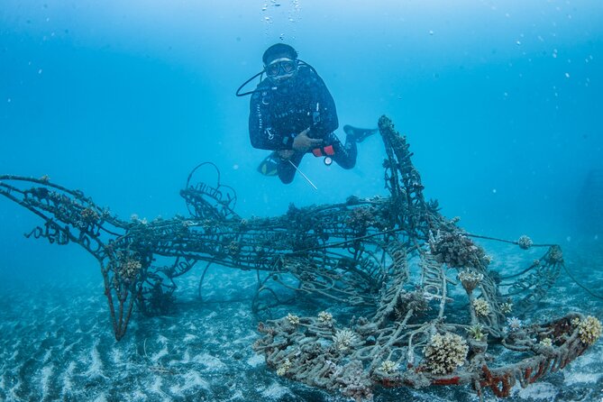 Try Dive Program in the Biorock Pemuteran - Good To Know