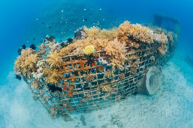 Try Dive Program in the Biorock Pemuteran - Health Considerations