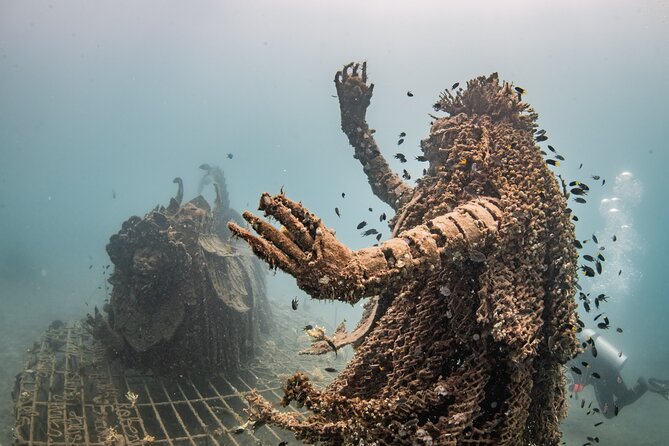 Try Dive Program in the Biorock Pemuteran - Participant Experience