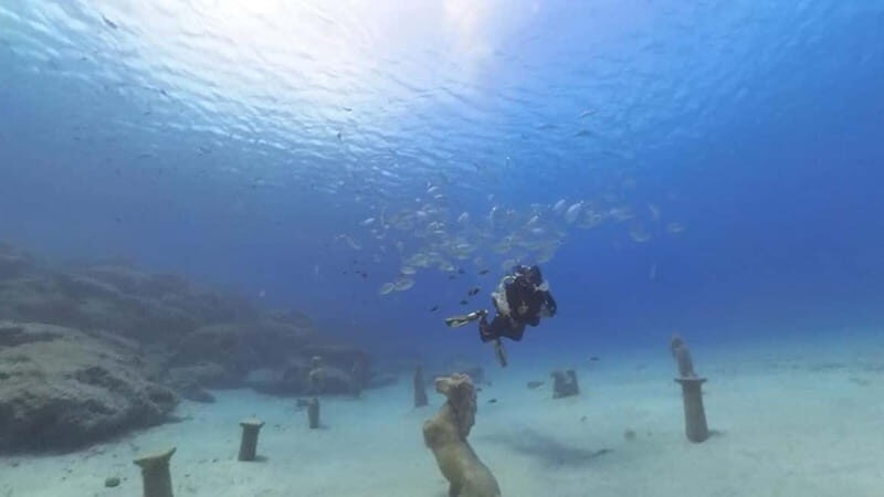 Try Dive - Scuba Diving - private guided - with lot of fish - Why This Tour Is a Must-Do  