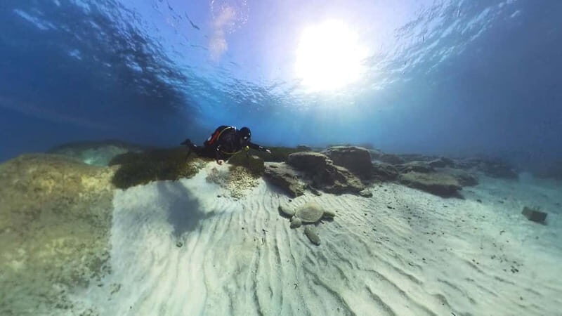 Try Dive - Scuba Diving - private guided - with lot of fish - Price and Value  