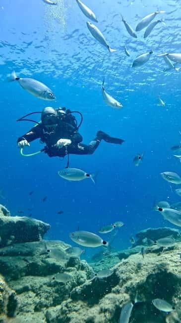 Try Dive - Scuba Diving - private guided - with lot of fish - Practical Tips for Travelers  