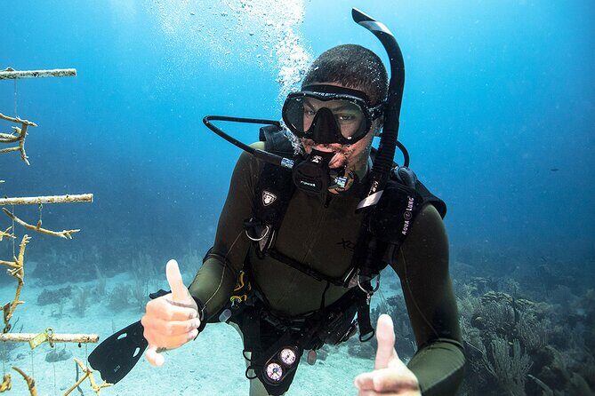 Try Dive - Scuba Diving with a private guide, incl. photos - Key Points