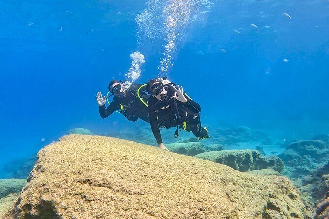 Try Dive - Scuba Diving with a private guide, incl. photos - A Closer Look at What to Expect on the Tour