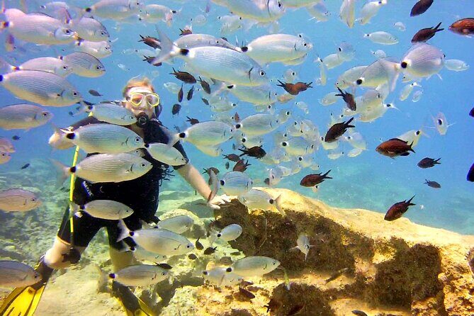 Try Dive - Scuba Diving with a private guide, incl. photos - FAQ