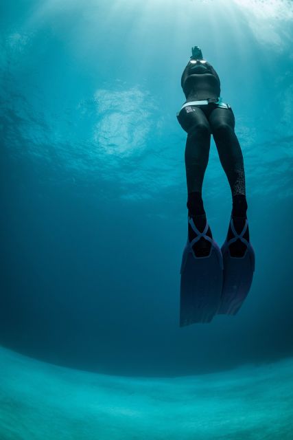 Try Free Diving in the Island of the Big Blue - Program Details