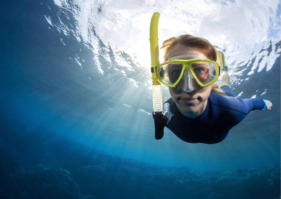 Try Freediving Experience in Arrábida Marine Reserve - Key Points
