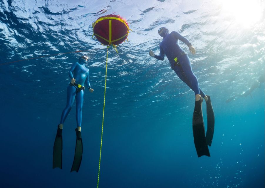 Try Freediving Experience in Arrábida Marine Reserve - Safety Briefing Details