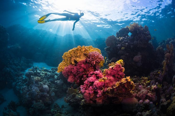 Try Freediving on Nusa Penida - Activity Details
