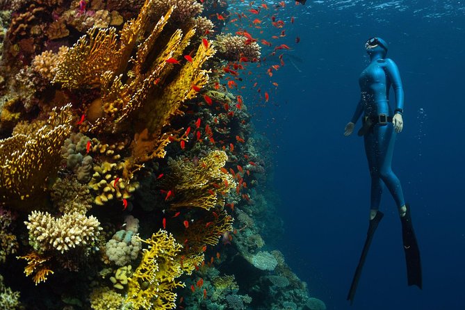 Try Freediving on Nusa Penida - Meeting and Pick-up