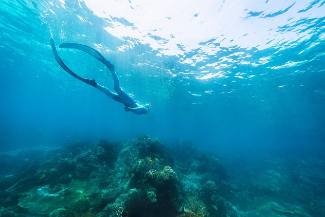 Try Freediving on Nusa Penida - Group Size and Medical Conditions