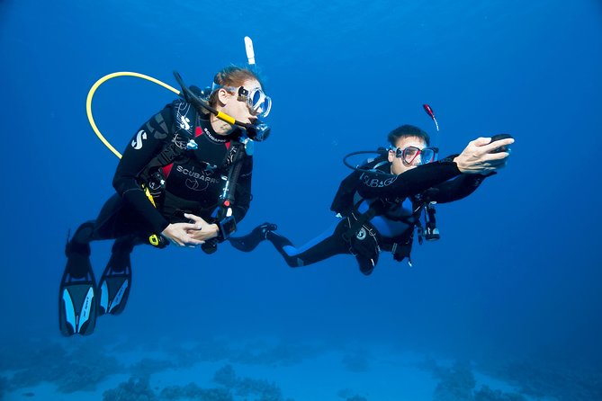 Try Scuba Dive (Baptism of the Sea) - Highlights of the Underwater Adventure