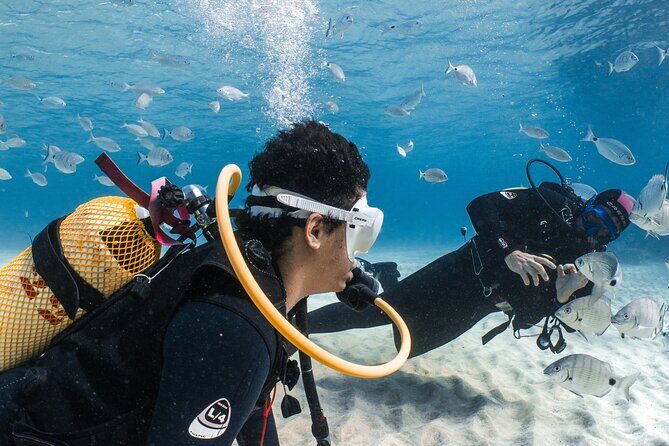 Try Scuba Diving | 1 dive - The Practicalities and Value