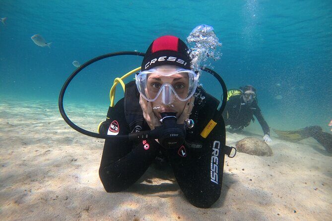 Try Scuba Diving | 1 dive - Who’s This Tour Best For?