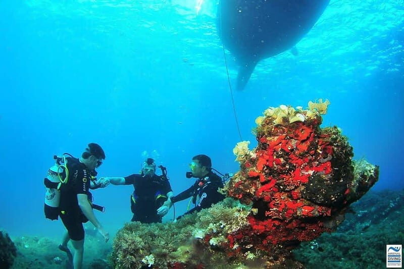 Try Scuba Diving and Snorkeling boat trip in Ibiza - Key Points