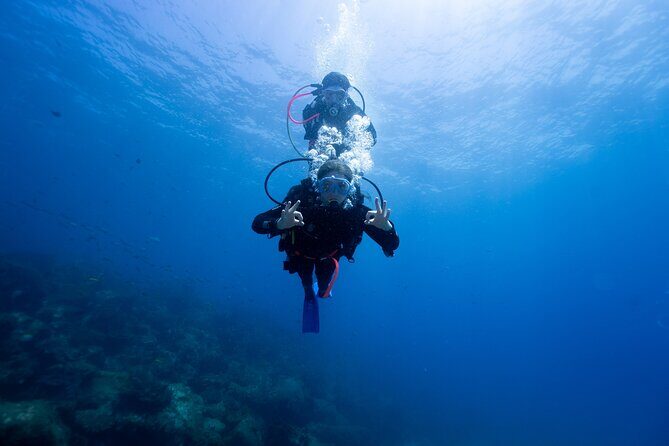 Try Scuba Diving at Cook Island  Guided Ocean Dive with Turtles - Key Points