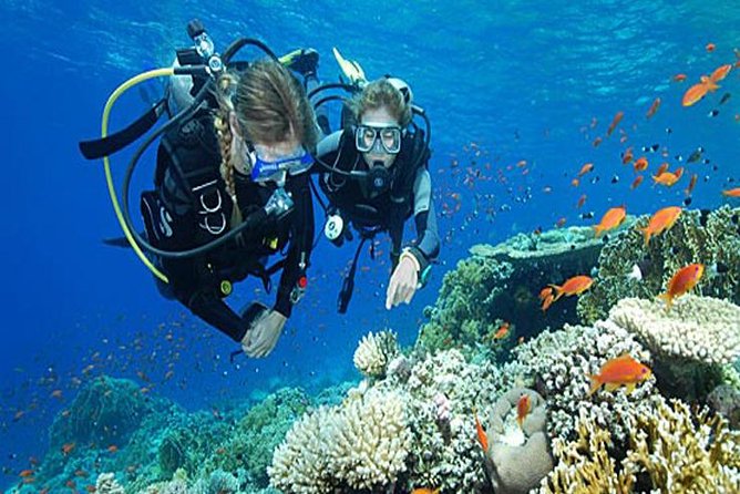 Try Scuba Diving In Havlock - Dive Options Available