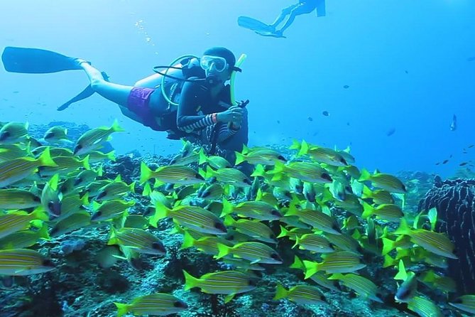Try Scuba Diving In Havlock - Safety and Health Guidelines