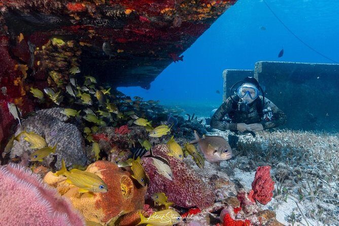 Try Scuba Diving - No previous experience! - Introduction