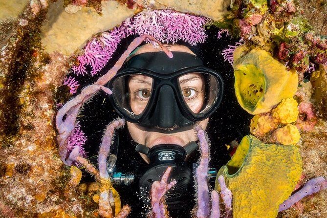 Try Scuba Diving - No previous experience! - What to Expect from This Cozumel Scuba Tour