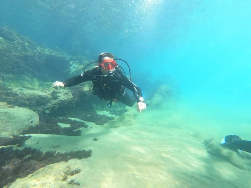 TRY SCUBA - Experience for beginners - Who Will Love This Tour