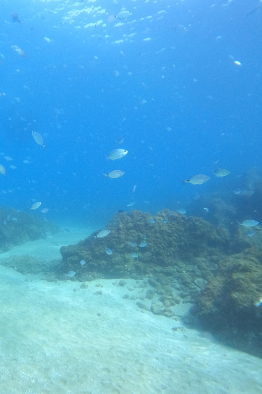 TRY SCUBA - Experience for Beginners - Diving Experience