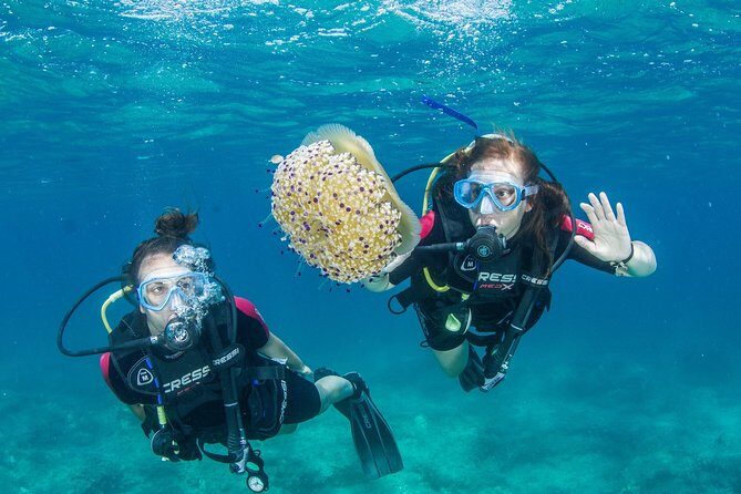 Try Scuba in Crete Free Certification & Photos (Beginners) - An Overview of the Crete Try Scuba Tour