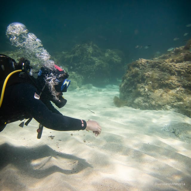 Try Scuba Menorca: Your First Underwater Breath in the Ocean - Exploring the Underwater Wonders