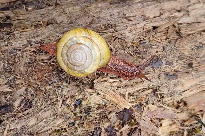 Tryon Creek Eco-tour With a Master Naturalist - Key Points