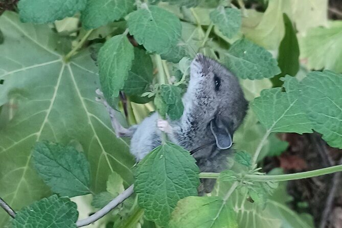 Tryon Creek Eco-tour With a Master Naturalist - Who Will Love This Tour?