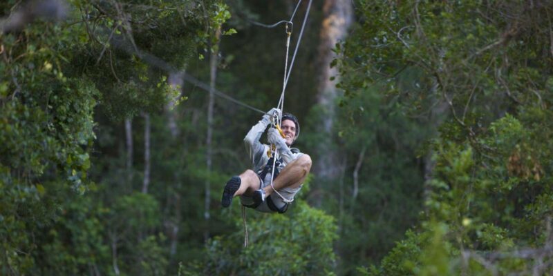 Tsitsikamma Adventure: A One-Day Tour of Nature and Thrills - Preparation and Restrictions