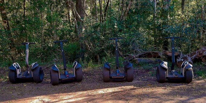 Tsitsikamma Adventure: A One-Day Tour of Nature and Thrills - Frequently Asked Questions