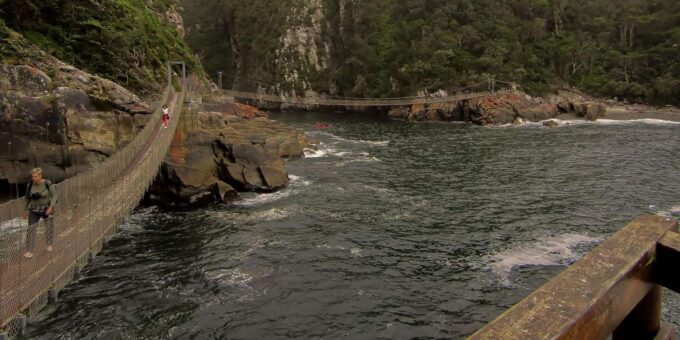 Tsitsikamma Adventure: A One-Day Tour of Nature and Thrills - The Sum Up