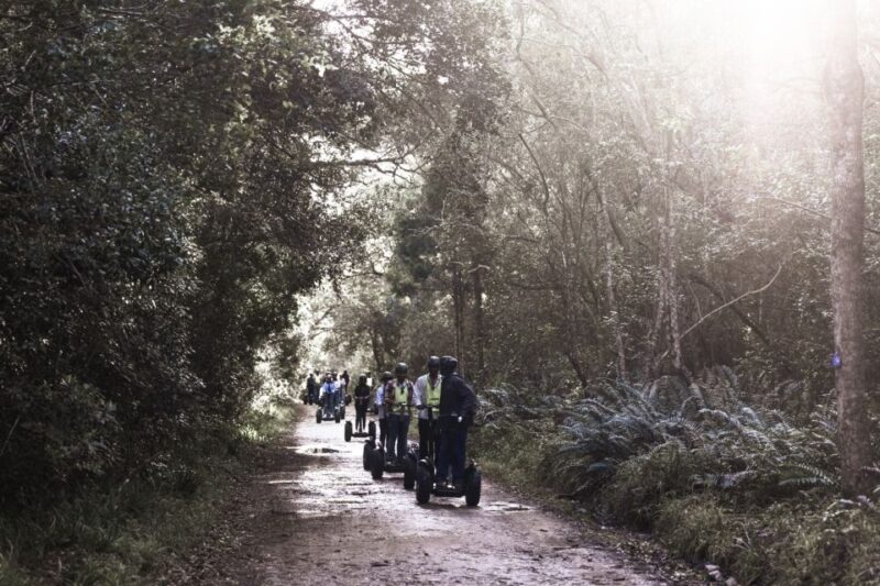 Tsitsikamma National Park: 1 or 2-Hour Segway Tour - Customer Feedback Insights