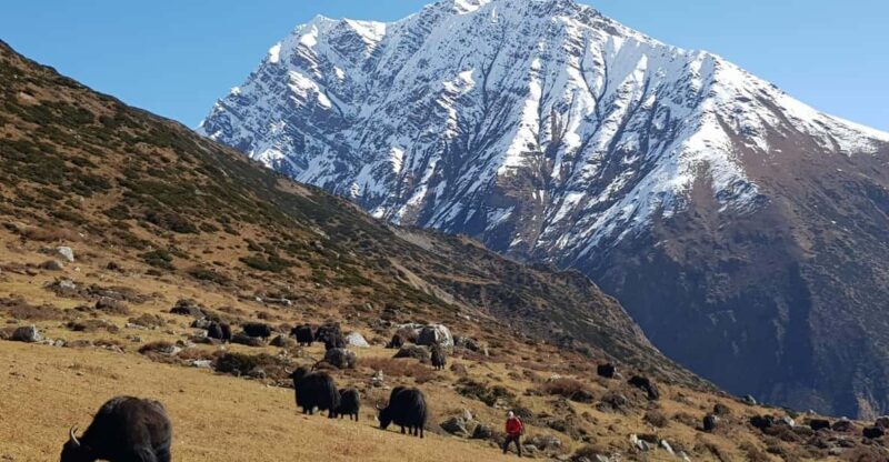 Tsum Valley Trek in Nepal - 14 Days - Inclusions and Services