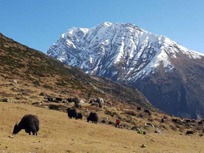 Tsum Valley Trek in Nepal - 14 Days - Travel Arrangements and Logistics