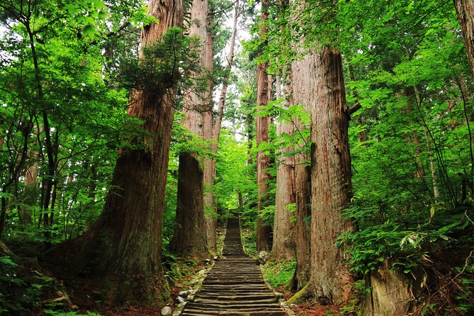 Tsuruoka & Dewa-Sanzan Full-Day Private Tour With Government-Licensed Guide - Pricing and Cancellation