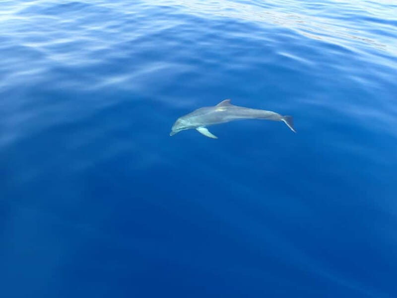 Tucepi: Snorkeling Boat Tour at the Makarska Riviera - The Sum Up