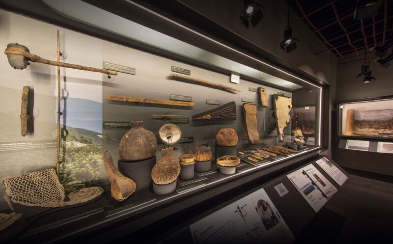 Tucson: Arizona State Museum Entry Ticket - Key Points