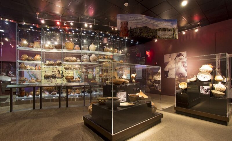 Tucson: Arizona State Museum Entry Ticket - Admission Details