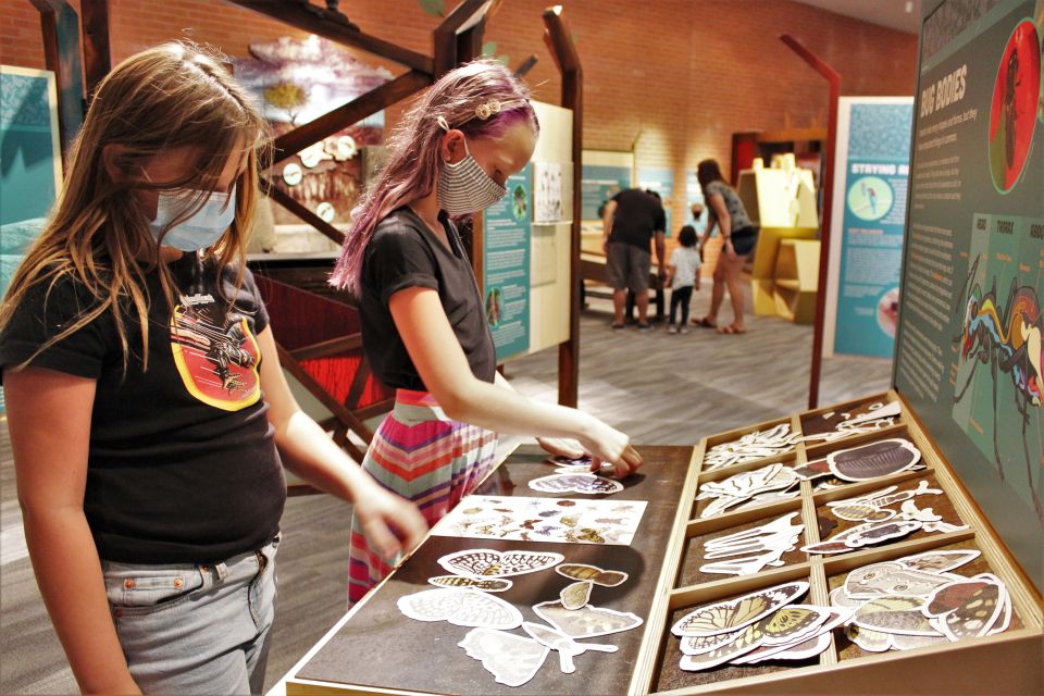 Tucson: Flandrau Science Center Entry Ticket - Asteroid Cave and Meteor Samples