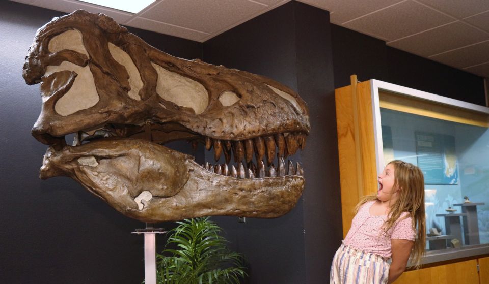 Tucson: Flandrau Science Center Entry Ticket - Visitor Information and Accessibility